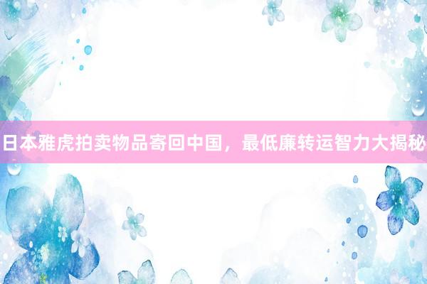 日本雅虎拍卖物品寄回中国，最低廉转运智力大揭秘