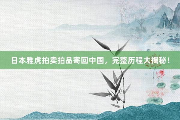 日本雅虎拍卖拍品寄回中国，完整历程大揭秘！