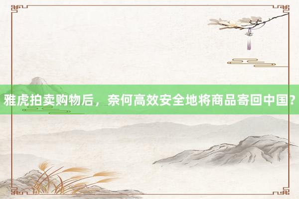 雅虎拍卖购物后，奈何高效安全地将商品寄回中国？